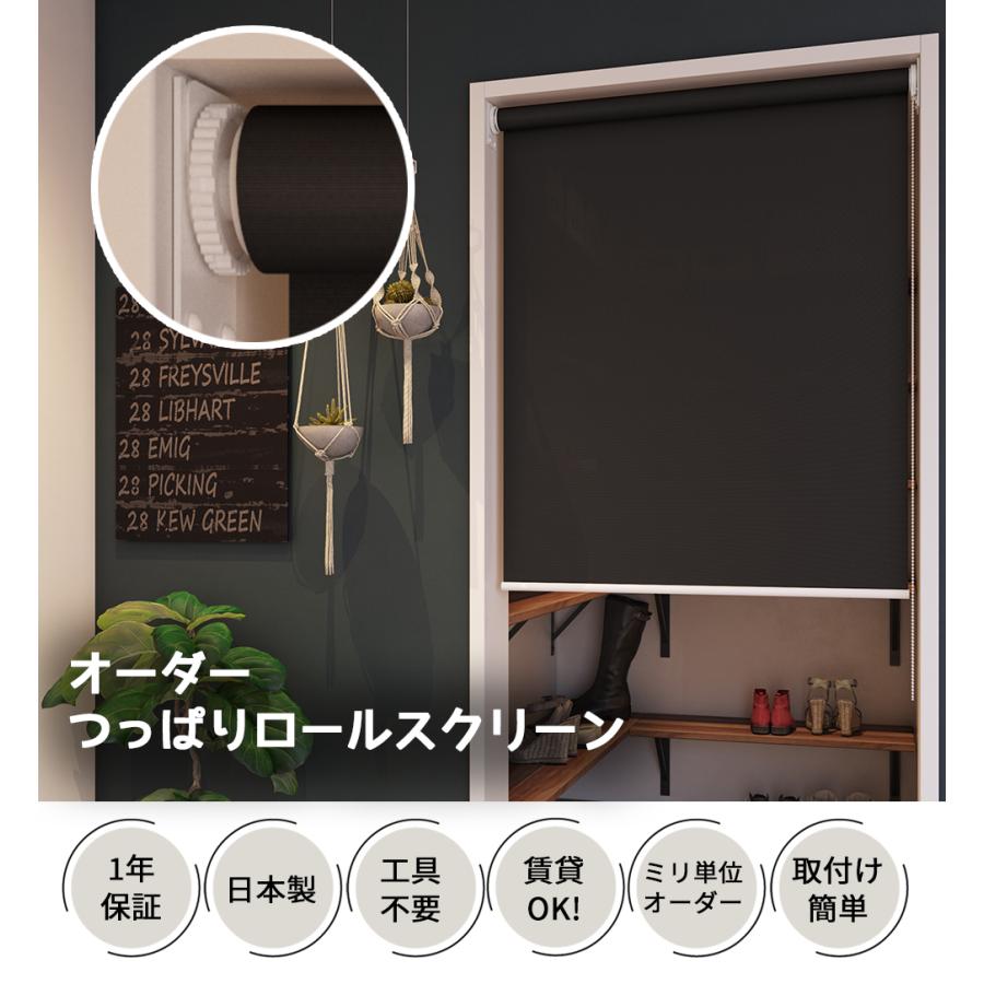 つっぱり式 ロールスクリーン 【ディアリオ】【幅91.0cm〜135.9cm×高さ30〜90cmの範囲】オーダー 突っ張り 穴開け不要 賃貸OK 立川機工 ファーステージ_1