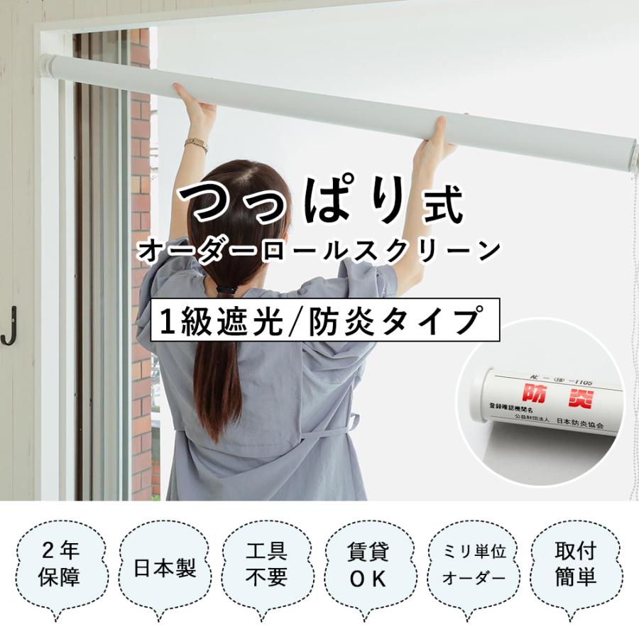 つっぱり式 ロールスクリーン 1級遮光 防炎タイプ スリムタイプ 【幅 