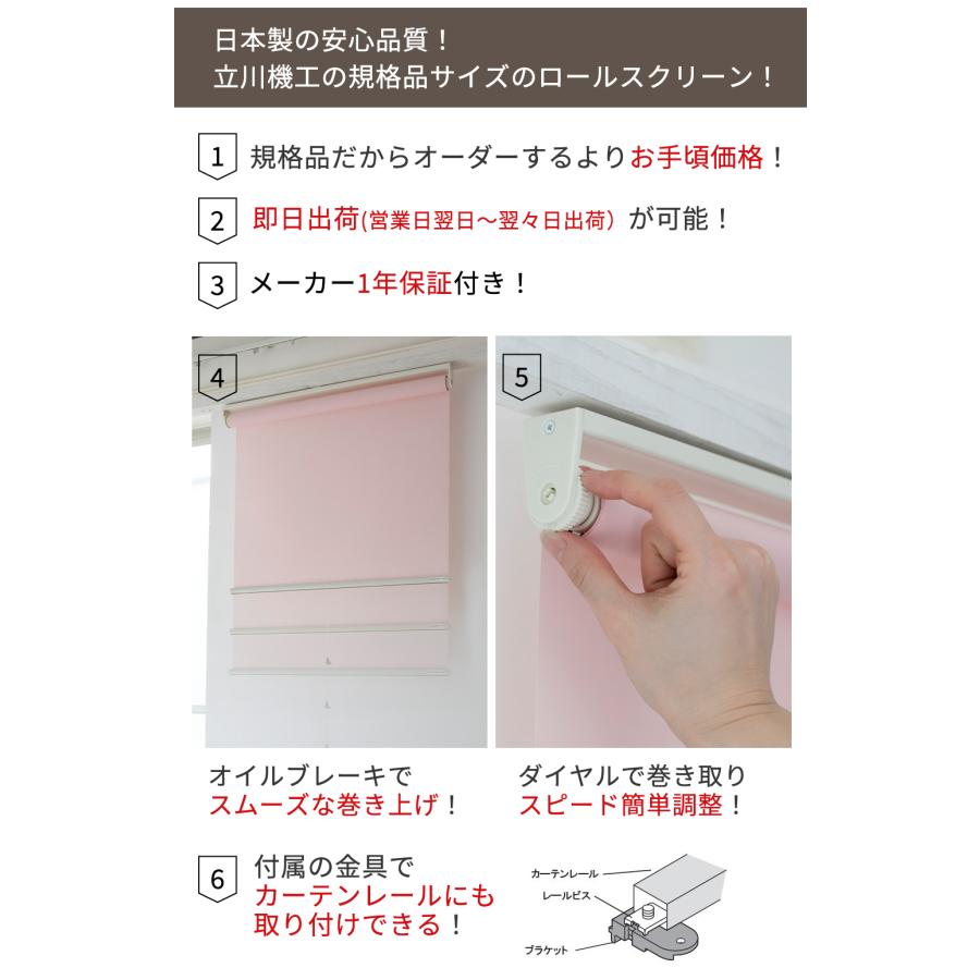 規格サイズ 防炎 透過性ロールスクリーン TIORIO（ティオリオ） 【幅