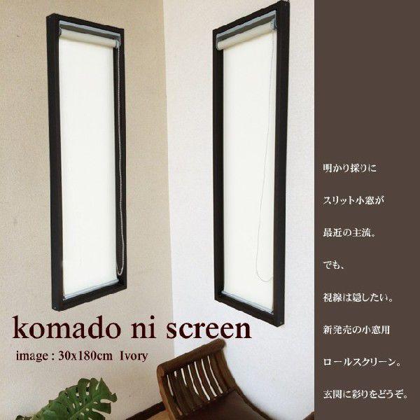 幅30×高さ180cm ロールスクリーン 透過性 無地 光を透すタイプ【zen