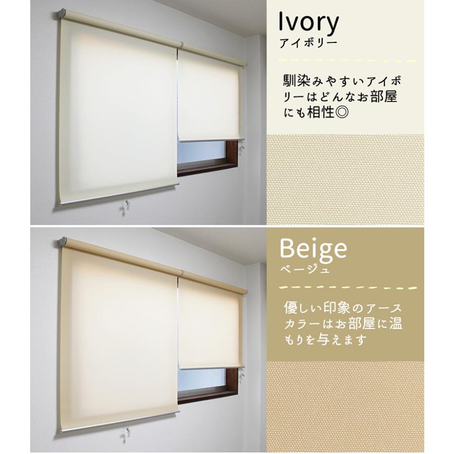 幅180×高さ220cm ロールスクリーン 透過性 無地 光を透すタイプ【zen