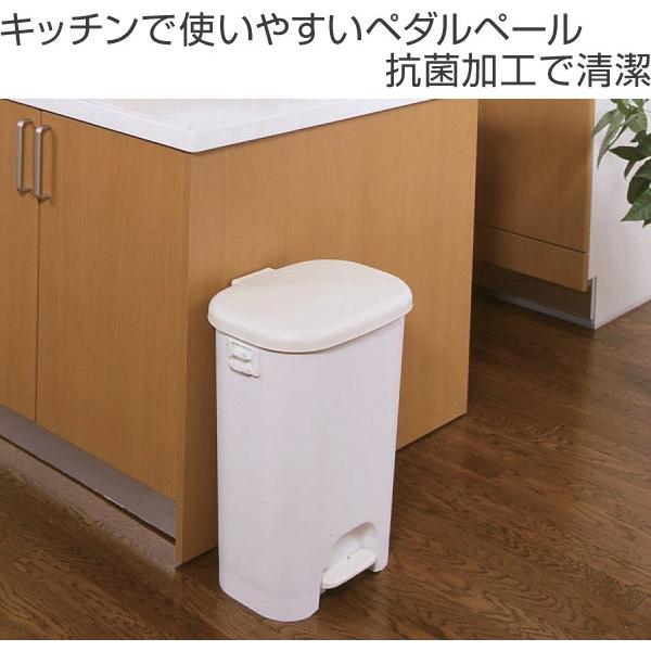 ゴミ箱 ふた付き ペダルペール ワイド 38L （ ごみ箱 ダストボックス