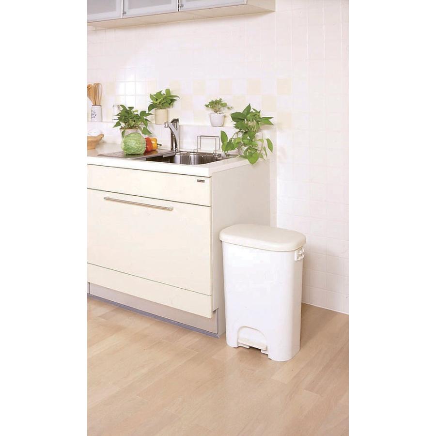 ゴミ箱 ふた付き ペダルペール ワイド 38L （ ごみ箱 ダストボックス