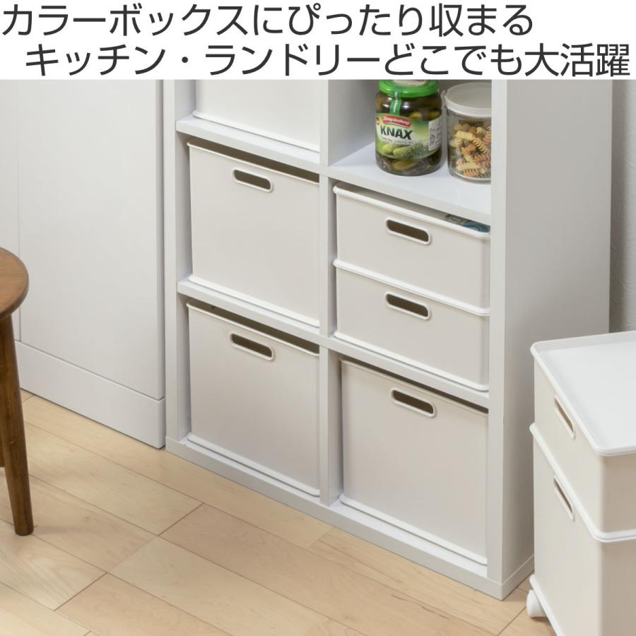 SANKA 収納ボックス 収納ケース ナチュラ インボックス L 同色2 SANKA 収納ボックス 収納ケース ナチュラ インボックス L 同色2