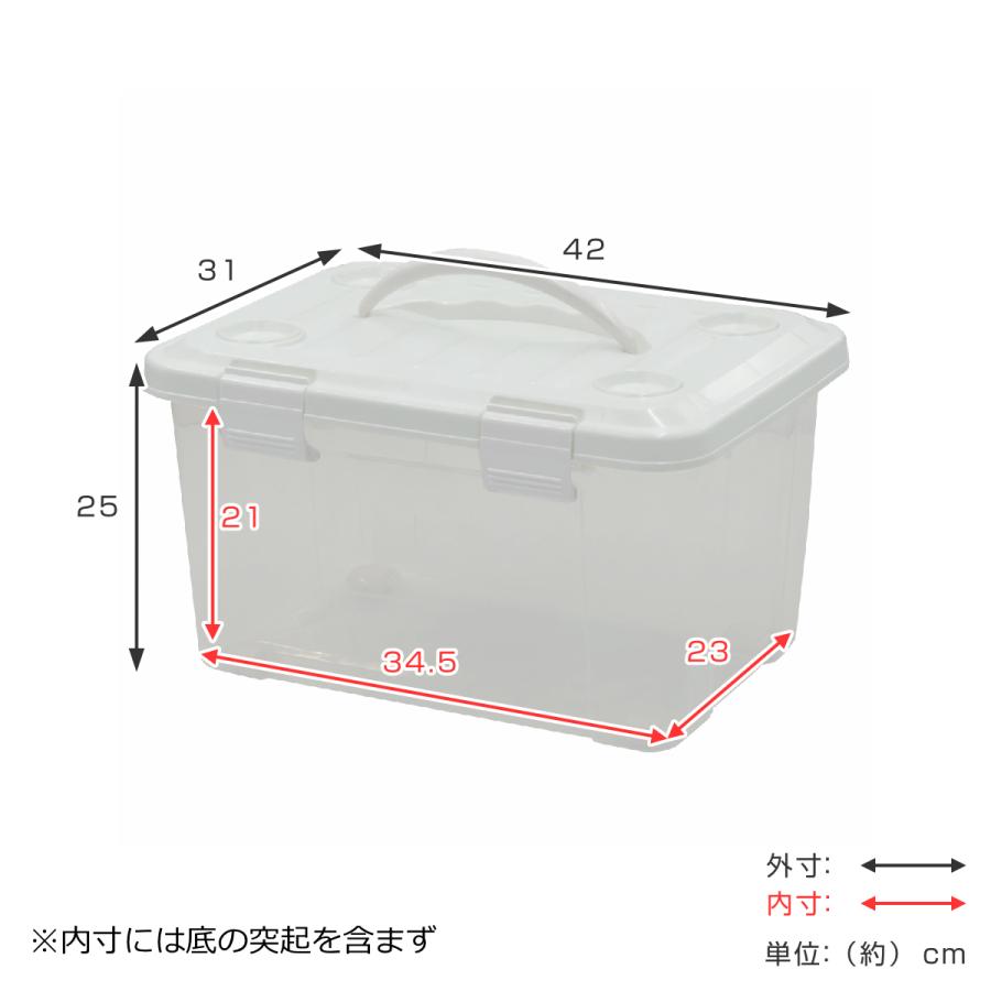 天馬 収納ボックス 幅42×奥行31×高さ25cm フタ付き 持ち手付き