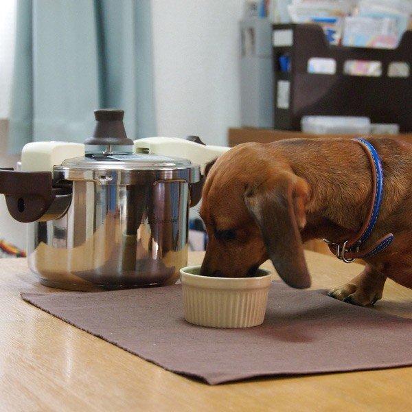 ワンダーシェフ Wonder chef 圧力鍋 with DOG 18cm 3L IH対応 （ 片手