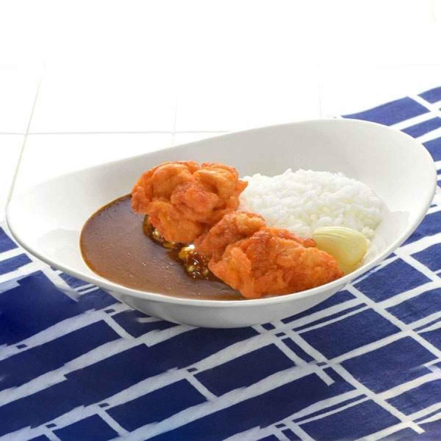 プレート 25cm オーバル 軽量強化磁器 fortemore フォルテモア （ 食洗