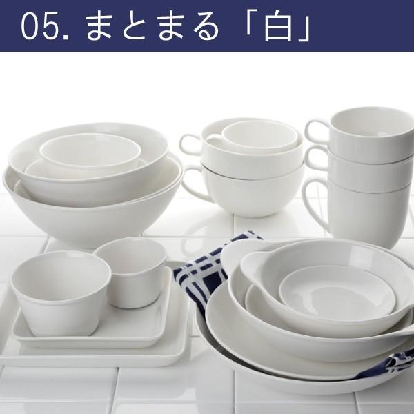 プレート 25cm オーバル 軽量強化磁器 fortemore フォルテモア （ 食洗