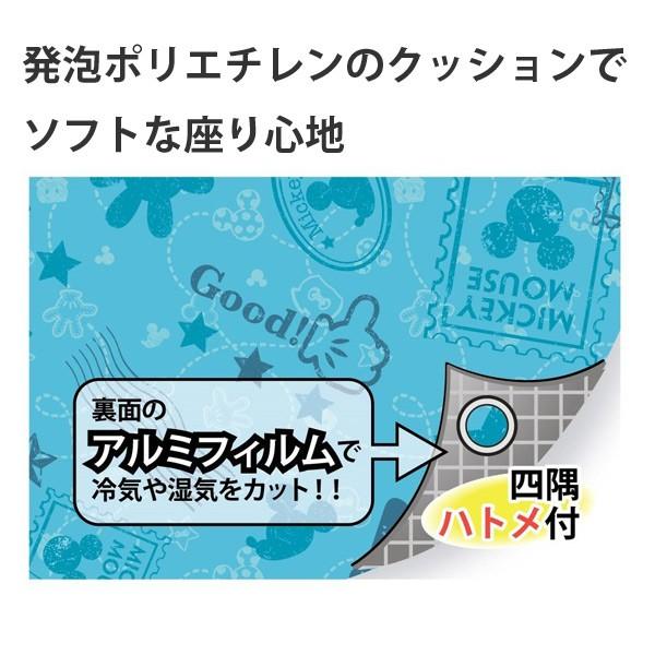 Disney（ディズニー） クッションレジャーシート 180cm 厚手 4〜5人用
