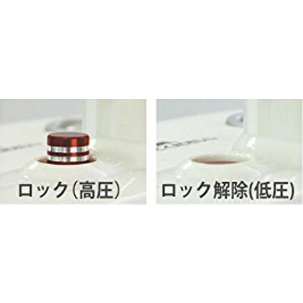 D＆S 家庭用マイコン電気圧力鍋 4L レシピブック付き STL-EC40 （ 圧力