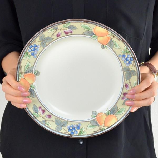 ストライプ模様の陶器プレートセット 6枚 プレート 25cm 洋食器 ガーデンハーベスト 硬質陶器 6枚セット （ 皿