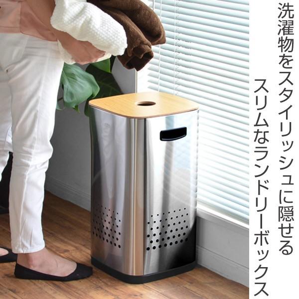 ランドリーバスケット ランドリービン 30L EKO ステンレス
