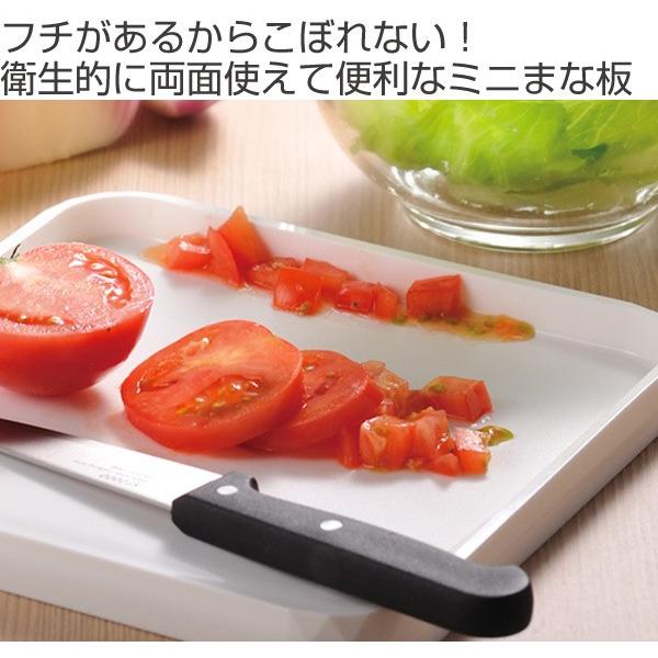 レイエ まな板 leye こぼれにくいフチ付きミニまな板 日本製 （ ミニ