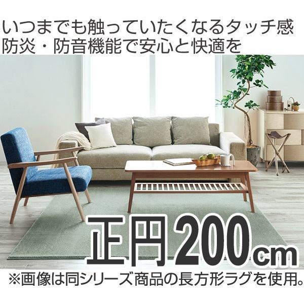 ラグ　カーペット　2畳　スミノエ　カーム　正円　200×200cm （ ラグマット 絨毯 じゅうたん ） 滑り止め