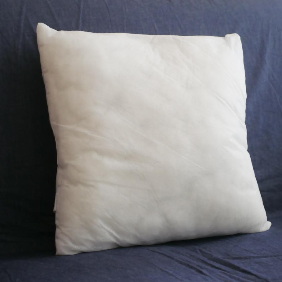 ヌードクッション 圧縮タイプ 45×45cm （ クッション 中身 45