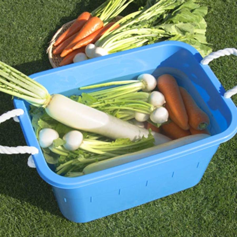 5100 2個セット 新輝合成 タライ 36L 角型タブ バケツ 持ち手付き 36型 日本製