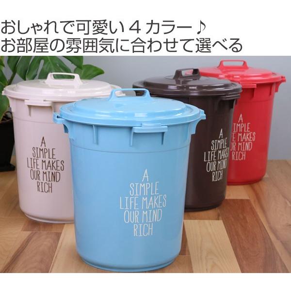 ゴミ箱 カラーペール ふた付き 45L 丸型 日本製 （ ごみ箱 屋外 