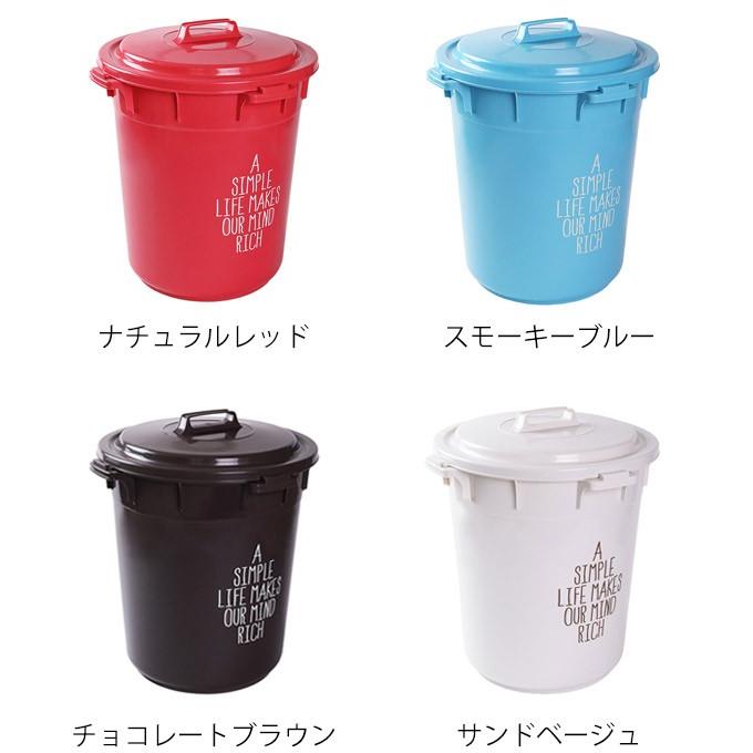 ゴミ箱 カラーペール ふた付き 45L 丸型 日本製 （ ごみ箱 屋外 