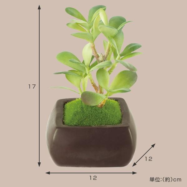 人工観葉植物 WA BONSAI ARTIFICIAL GREEN カネノナルキ （ 造花 フェイクグリーン 植物 ）｜livingut｜02