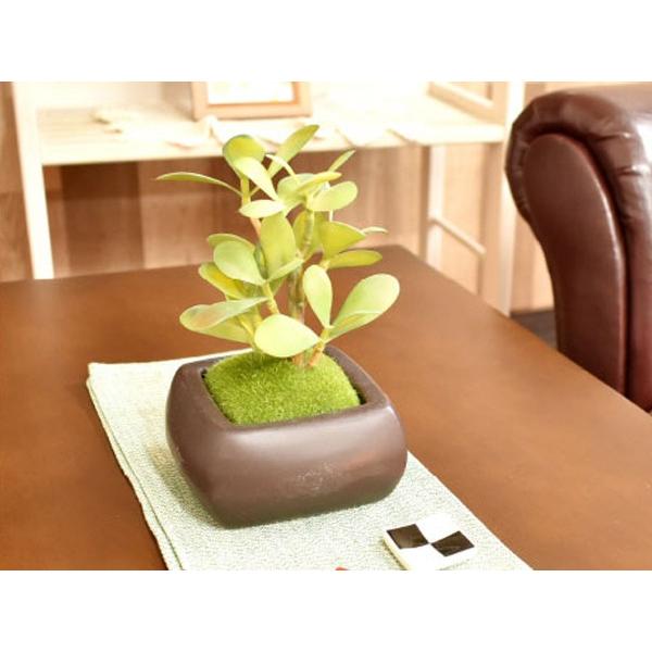 人工観葉植物 WA BONSAI ARTIFICIAL GREEN カネノナルキ （ 造花 フェイクグリーン 植物 ）｜livingut｜05