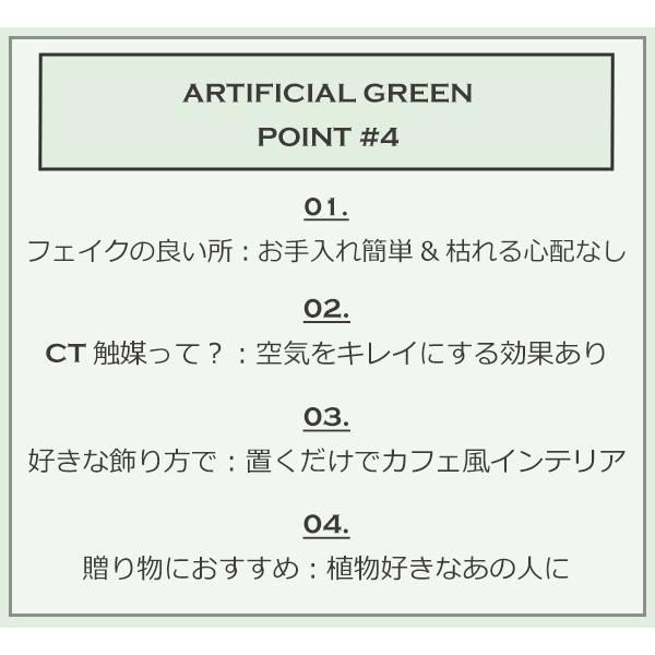 人工観葉植物 エクリア 消臭アーティフィシャルグリーン S （ 観葉植物 フェイクグリーン 造花 ）｜livingut｜06