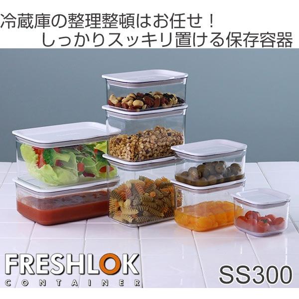TAKEYA（タケヤ） 保存容器 フレッシュロックコンテナ SS 300ml