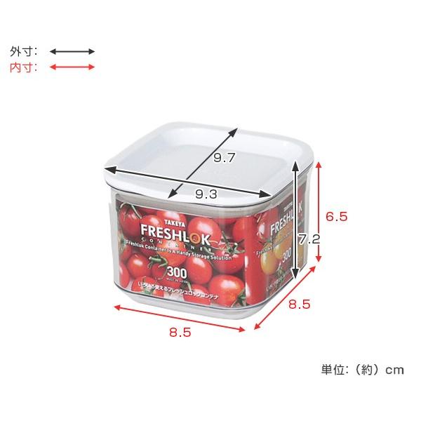 TAKEYA（タケヤ） 保存容器 フレッシュロックコンテナ SS 300ml