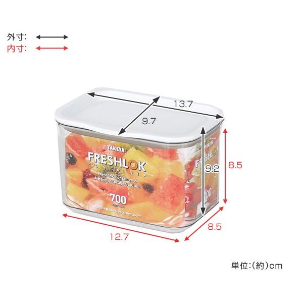 TAKEYA（タケヤ） 保存容器 フレッシュロックコンテナ S 700ml （ 密閉