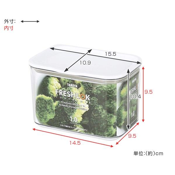 TAKEYA（タケヤ） 保存容器 フレッシュロックコンテナ M 1.0L （ 密閉