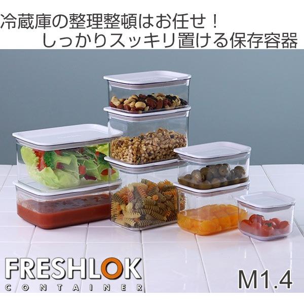 TAKEYA（タケヤ） 保存容器 フレッシュロックコンテナ M 1.4L （ 密閉