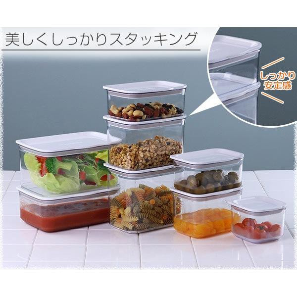 TAKEYA（タケヤ） 保存容器 フレッシュロックコンテナ M 1.4L （ 密閉