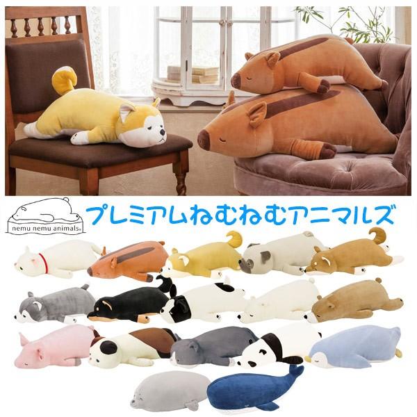 抱き枕 ぬいぐるみ アザラシ プレミアムねむねむアニマルズ グー 抱き枕 ぬいぐるみ アザラシ プレミアムねむねむアニマルズ グー