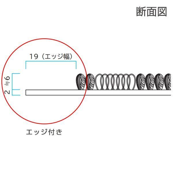 玄関マット エンハンスマット500 120×180cm （ 法人限定 エントランスマット 業務用マット 出入り口 ） 【スーパーダスピット】