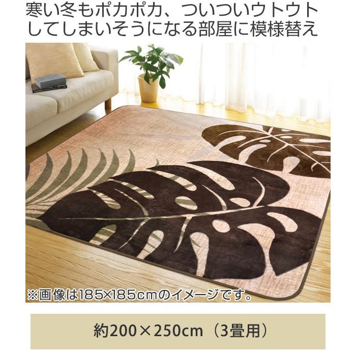 □在庫限り・入荷なし□ ラグ 3畳 200×250cm 床暖 ホットカーペット