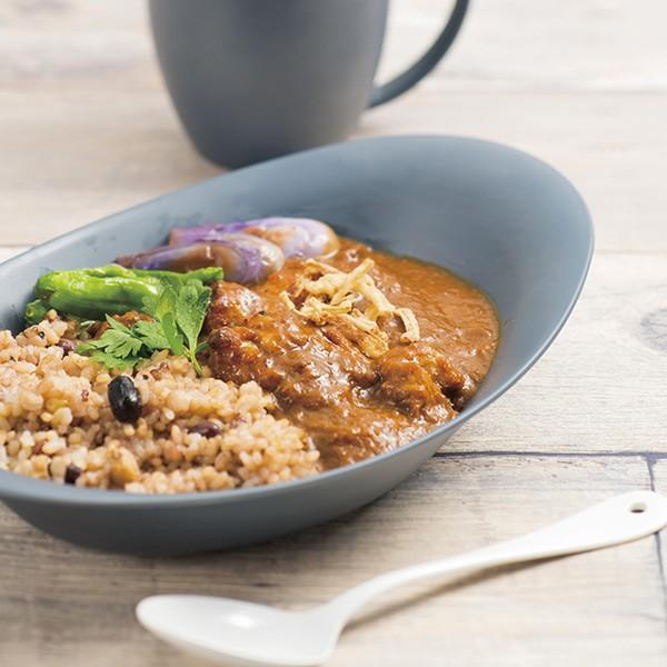 プレート 26cm カレー＆パスタ SEE プラスチック 食器 日本製 同色5枚