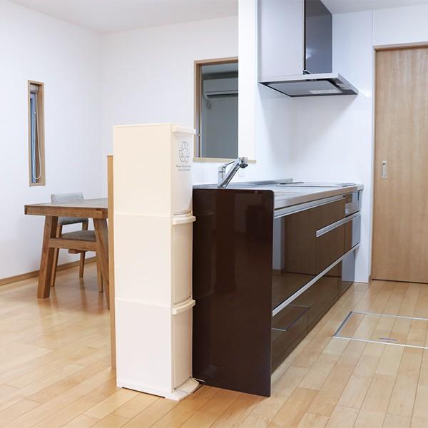 東谷 ゴミ箱 分別 ダストボックス 30L 3段 幅21cm 日本製 （ ごみ箱 30