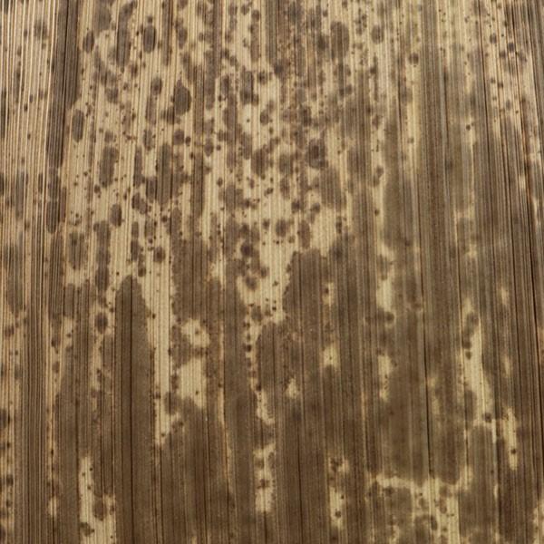 竹皮 天然竹皮 おにぎり 8枚入 （ お弁当 おにぎりケース おにぎり用