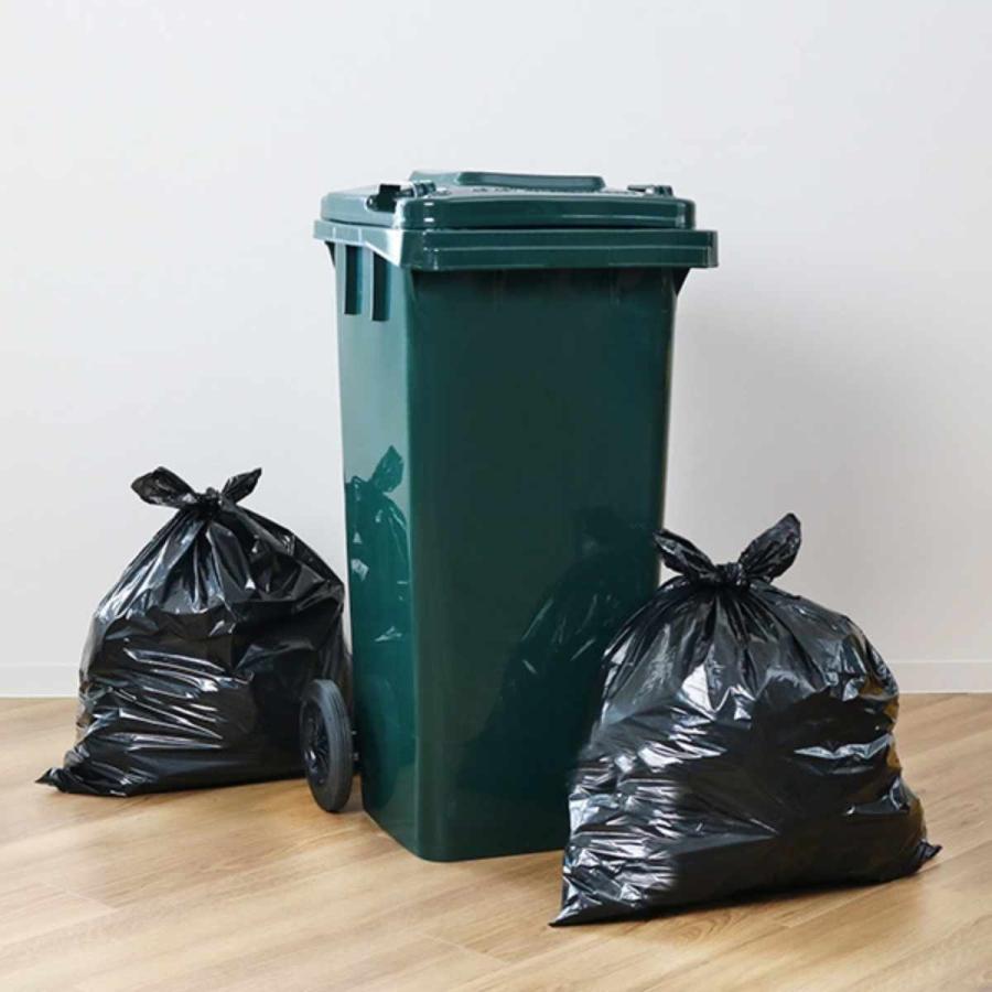 DULTON ゴミ箱 120L 屋外兼用トラッシュカン ( ごみ箱 120 DULTON ゴミ箱 120L 屋外兼用トラッシュカン ( ごみ箱 120
