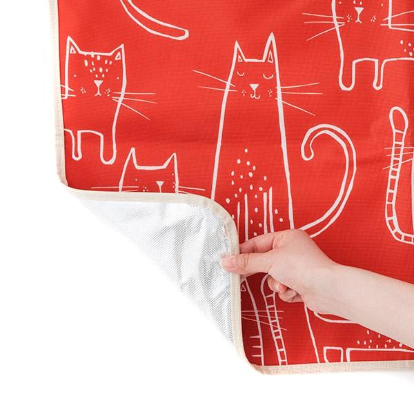 限定ピクニックシート CHUMS（チャムス） 最大42%☆12/22限定 日本正規品 レジャーシート