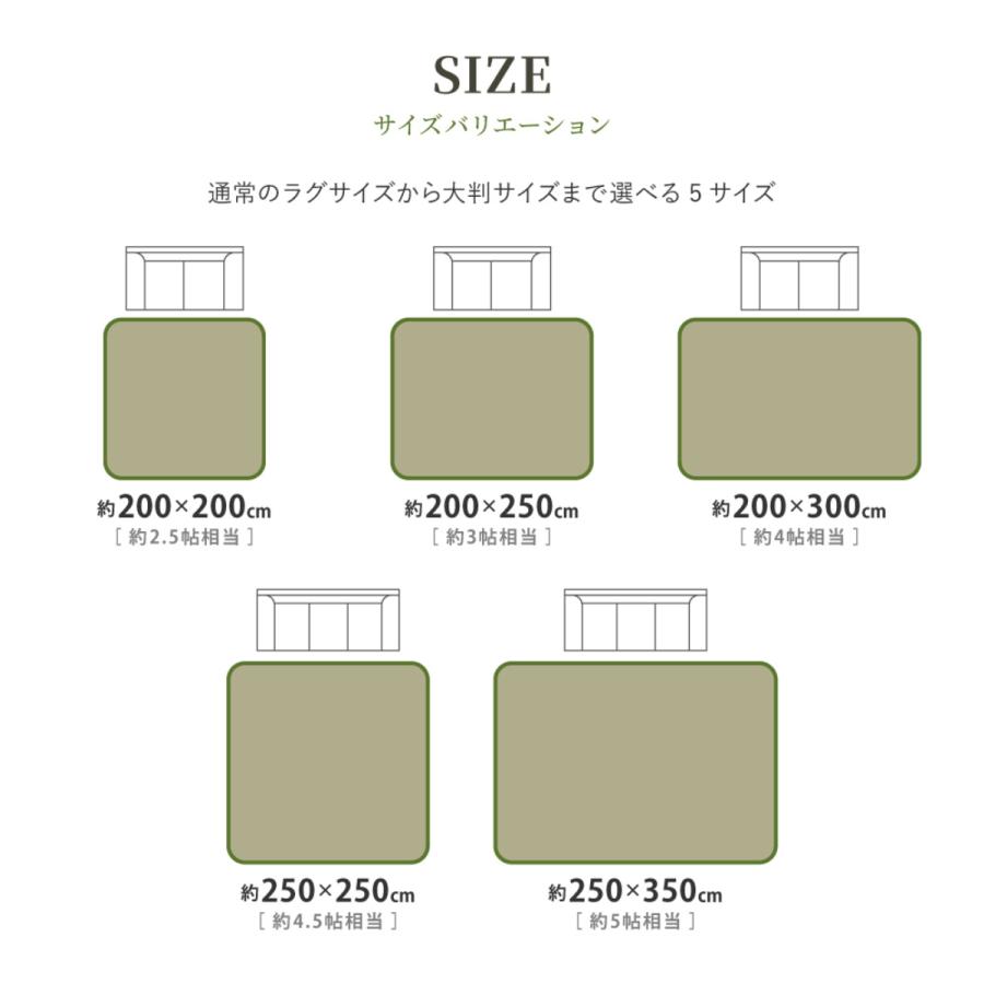 HAGiHARA 畳 い草ラグ エンペラー 250×350 5.5畳 滑り止め無し HAGiHARA 畳 い草ラグ エンペラー 250×350 5.5畳 滑り止め無し