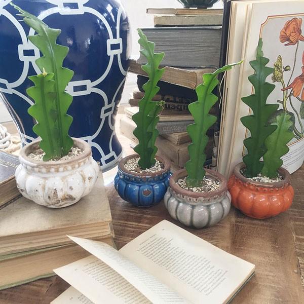 ダルトン DULTON フラワーポット プランプリー ポット かぼちゃ風