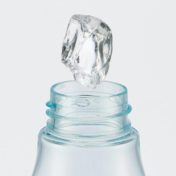 スケーター 水筒 プラスチック 直飲み アナと雪の女王 500ml クリア