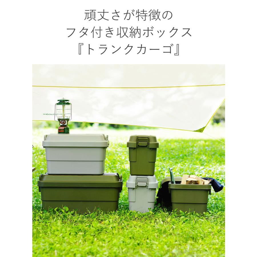 RISU（リス） 収納ボックス 幅60×奥行39×高さ37cm トランクカーゴ