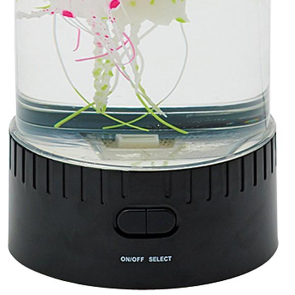 【海月】 海月の水槽 (@112coss_kmsy) / Posts / X