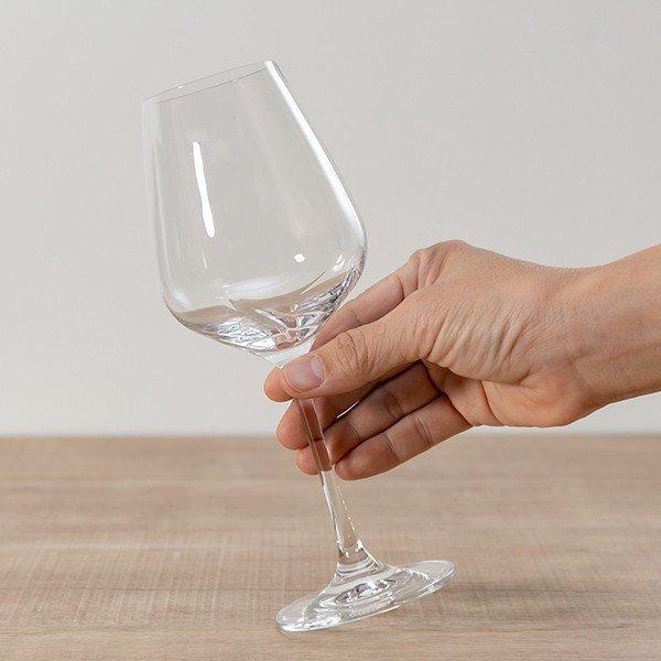 ワイングラス 420ml DESIRE デザイアー ガラス製 羽模様付 （ 食洗機対応 グラス 万能型ワイングラス 赤ワイン 白ワイン ）