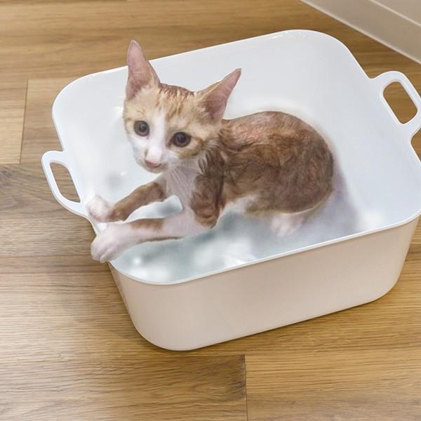 オーエ（OHE） 洗濯用たらい 15L Arao! 洗い桶 タライ （ たらい