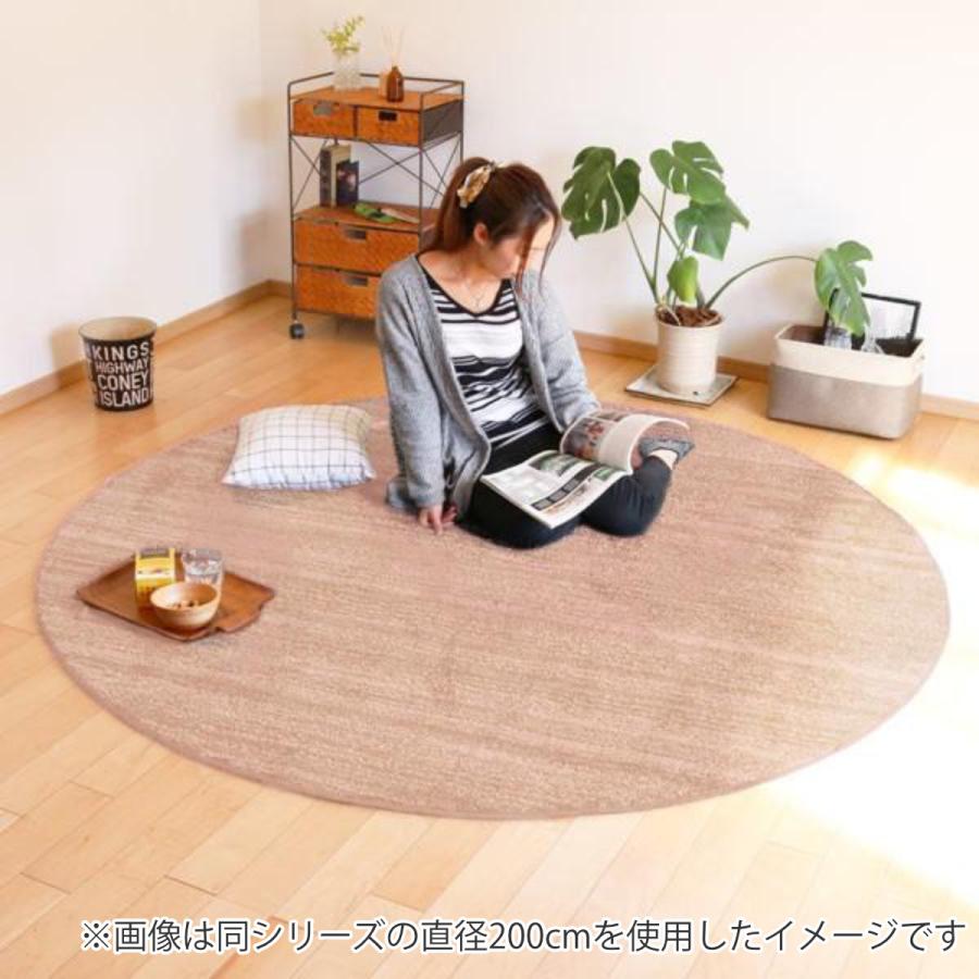 スミノエ ナイロンラグ リュストル 楕円形 140×200/防ダニ・防炎　高品質 Amazon｜スミノエ(Suminoe) ラグ グレージュ 楕円形 140×200cm 防炎 防