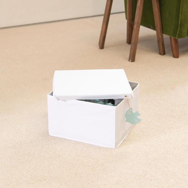 収納ボックス スッキリコ M 幅30×奥行33×高さ20cm ボックス フタ付き