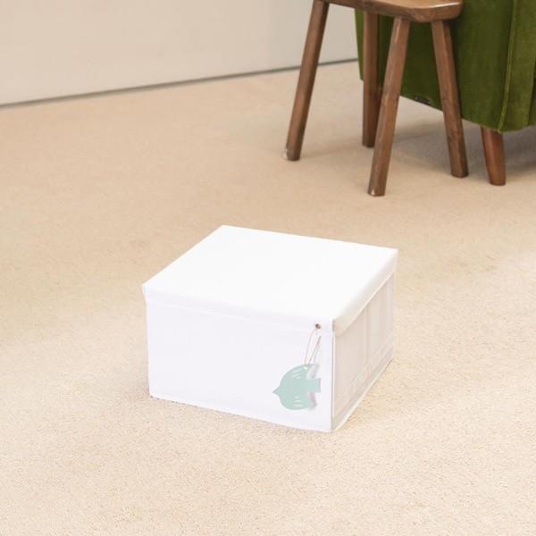 収納ボックス スッキリコ M 幅30×奥行33×高さ20cm ボックス フタ付き