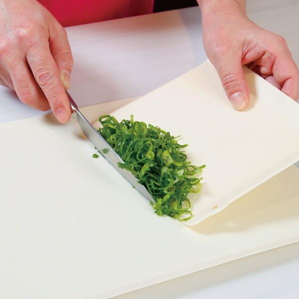 まな板 3枚セット 16.5x14.5cm 使い分け抗菌プチまな板 NATURE